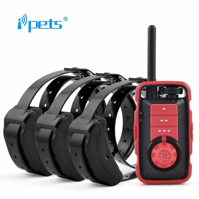 Petrainer iPets Pet610. Collar Sumergible a Batería 1000 metros hasta 3 Perros